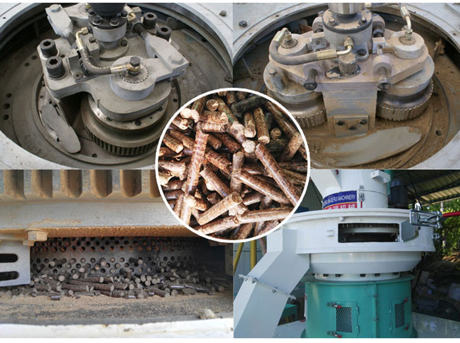 生物質香蕉福利导航內部結構