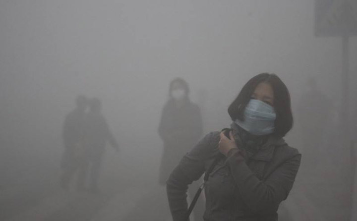 霧霾侵襲 生物質香蕉福利导航械