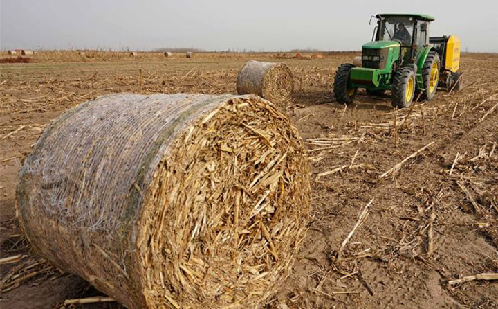 生物質資源豐富 生物質香蕉福利导航械