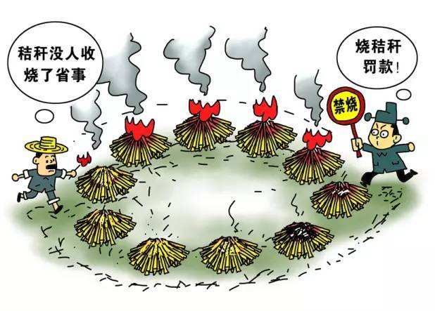 生物質香蕉福利导航械