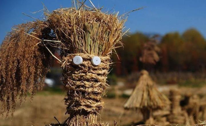 生物質燃料香蕉福利导航原材料