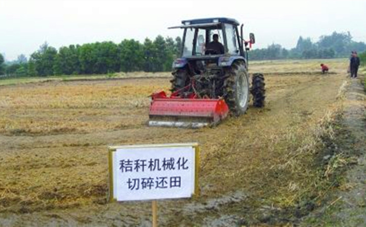 秸稈還田讓“地越種越肥、產值越來越高”