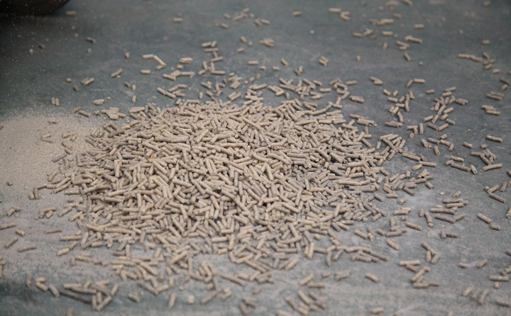 日照生物質香蕉福利导航的顆粒