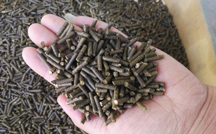 生物質燃料香蕉福利导航加工顆粒燃料 生物質燃料香蕉福利导航加工顆粒燃料