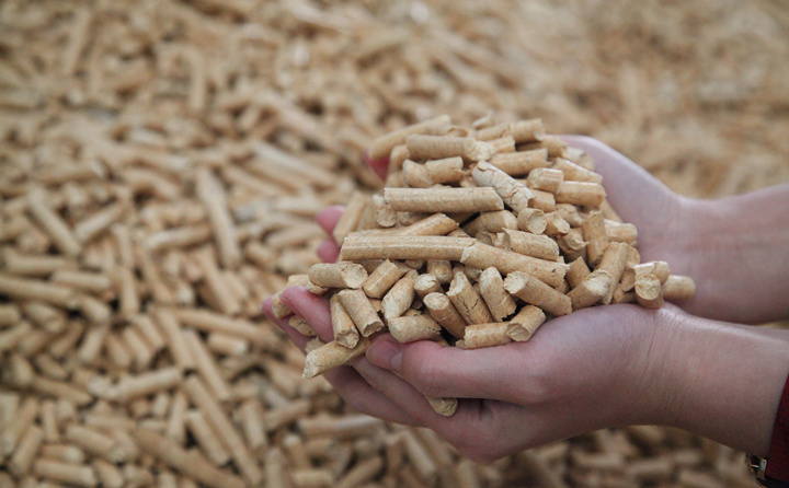 木材邊角料和秸稈可別扔了，用生物質香蕉福利导航加工，可以變成顆粒燃料，可以賣也可以自己用