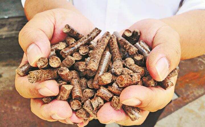 生物質香蕉福利导航生物能源項目 生物質香蕉福利导航生物能源項目