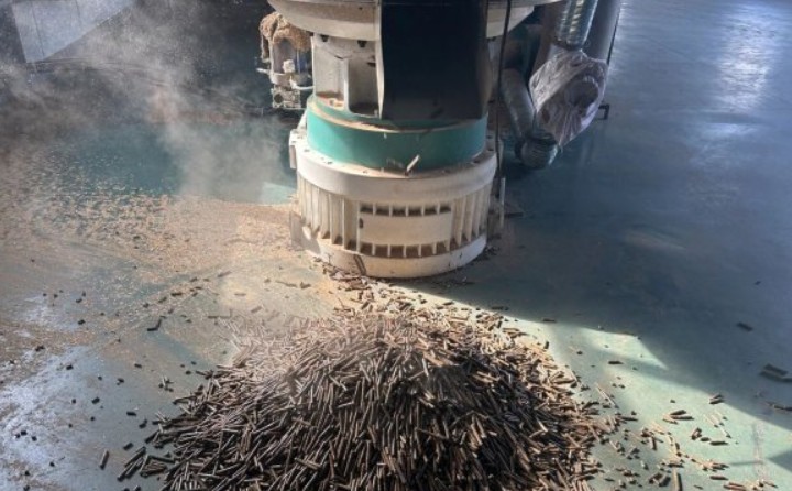 黑龍江鶴立林業局：生物質顆粒產業點燃綠色發展新引擎