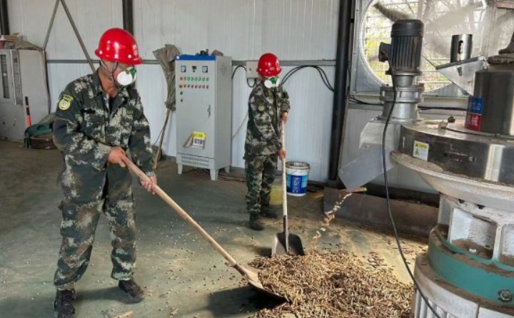 黑龍江鶴立林業局：生物質顆粒產業點燃綠色發展新引擎