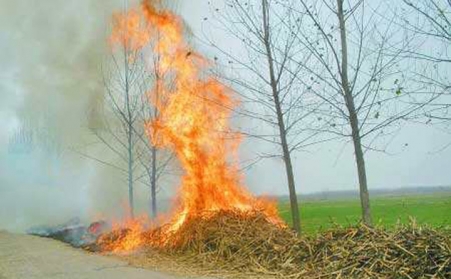 為什麽說生物質行業的發展前景非常廣闊？