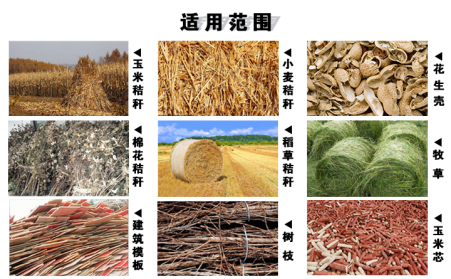 木屑香蕉福利导航有效處理農村廢棄物，發展生物質能源