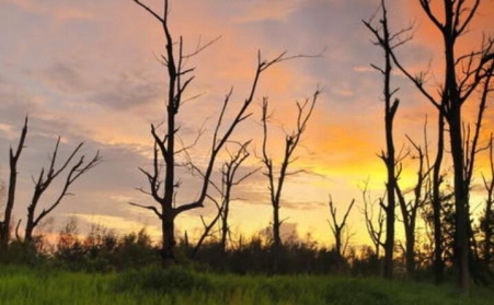 河北鋸末香蕉福利导航的社會意義