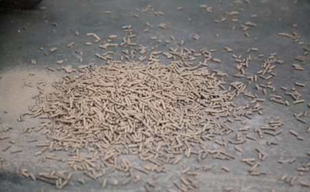 在日照生物質香蕉福利导航的顆粒怎麽保存？