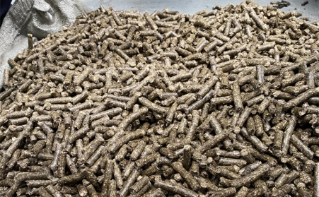 生物質燃料香蕉福利导航生產線配套設備有哪些？有什麽好處？