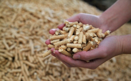 生物質燃料香蕉福利导航生產的顆粒與其他燃料的對比