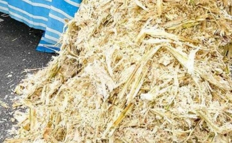 甘蔗渣想廢物利用？可以考慮生物質香蕉福利导航！