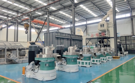 買生物質香蕉福利导航怕踩坑?香蕉福利导航廠家教你 3 招選對機型