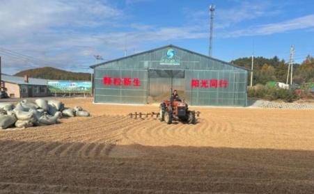 黑龍江鶴立林業局:生物質顆粒產業點燃綠色發展新引擎